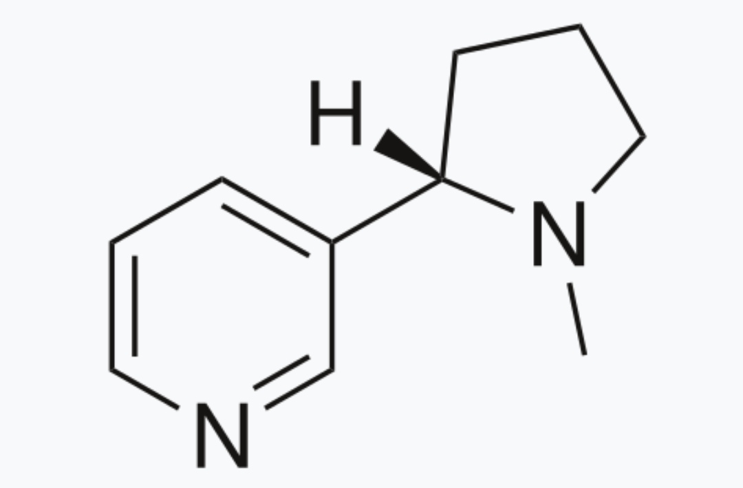 ساختار شیمیایی نیکوتین