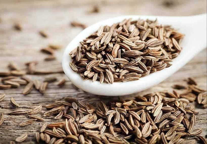 دانه‌های زیره#تغییر_مسیر [[الگو:طبقه‌بندی جانداران