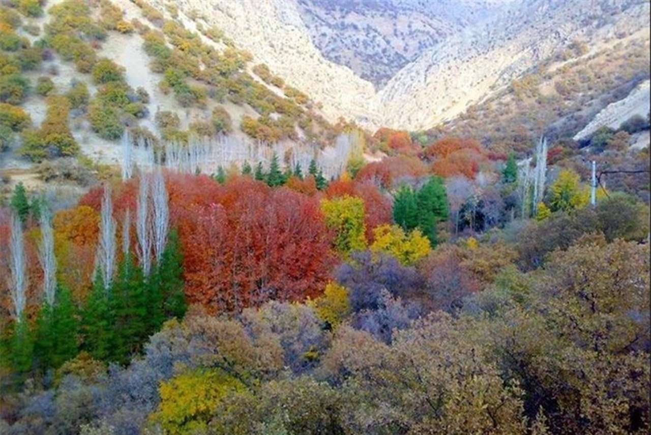<strong>تنگ گنجه ای‌ در استان کهگیلویه و بویراحمد</strong>