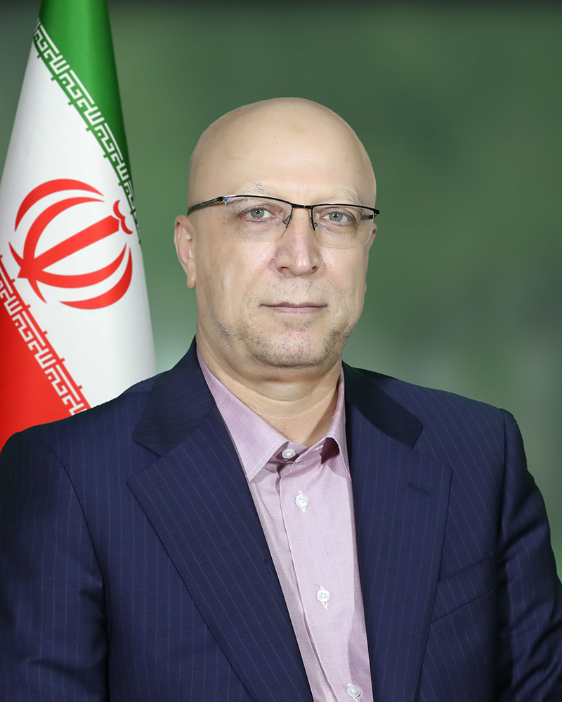 محمد زلفی گل