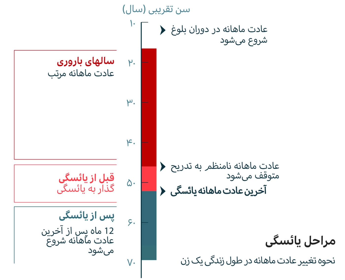 <strong>نمودار مراحل یائسگی در زنان</strong>