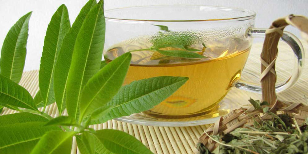 تصویری از گیاه و دمنوش به لیمو#تغییر_مسیر [[الگو:طبقه‌بندی جانداران