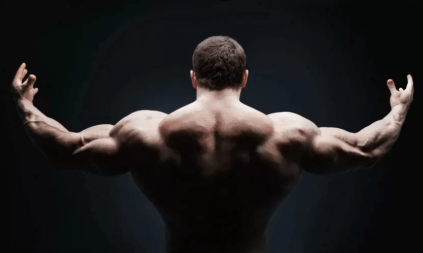 <strong>نمایی از عضلات پشتی یک ورزشکار در رشته بدن سازی</strong>