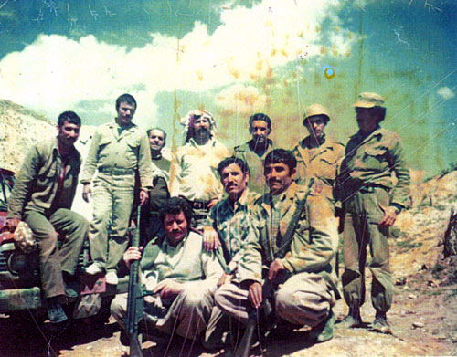 <strong>تصویری از عشایر در عملیات ضربت ذوالفقار</strong>