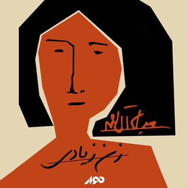 تصویر جلد کتاب زن زیادی