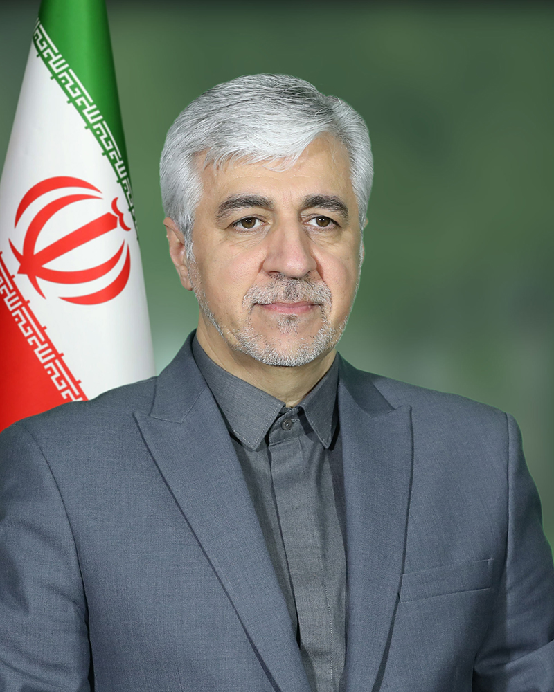 سید حمید سجادی