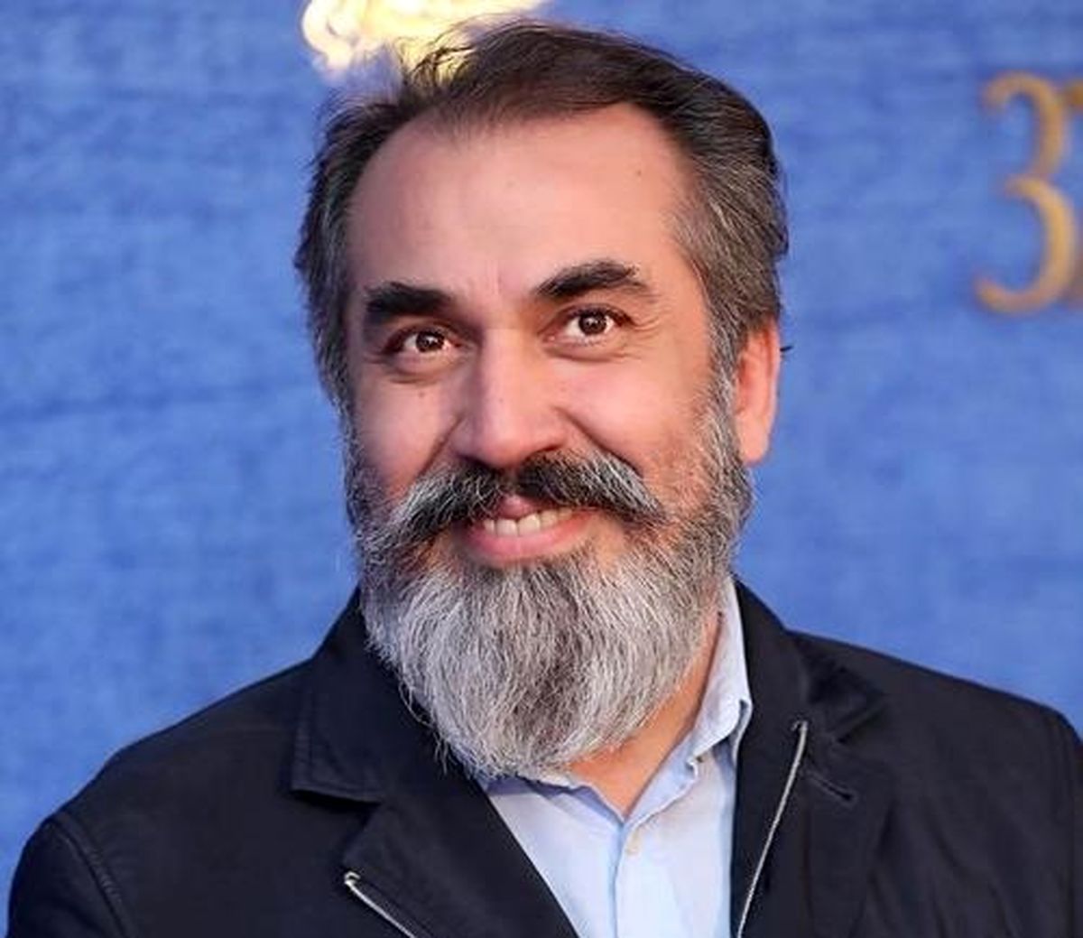 سیامک انصاری