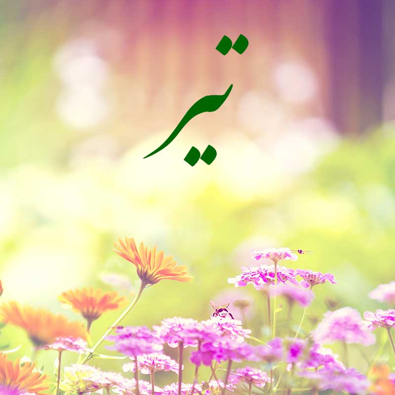 <strong>تیر ماه</strong>