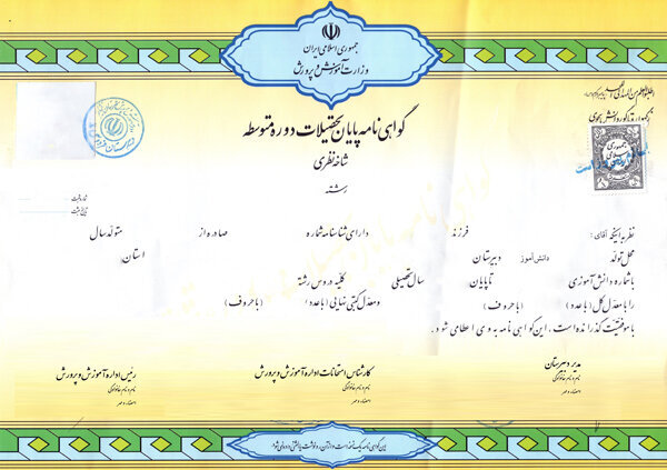 تصویری از ساختار برگهی دیپلم