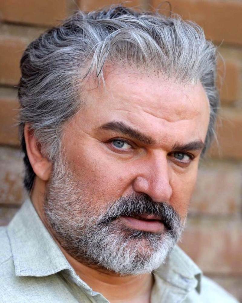 مهدی سلطانی سروستانی
