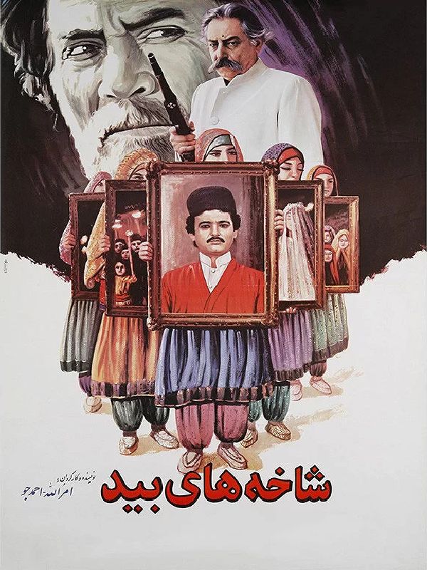 شاخههای بید