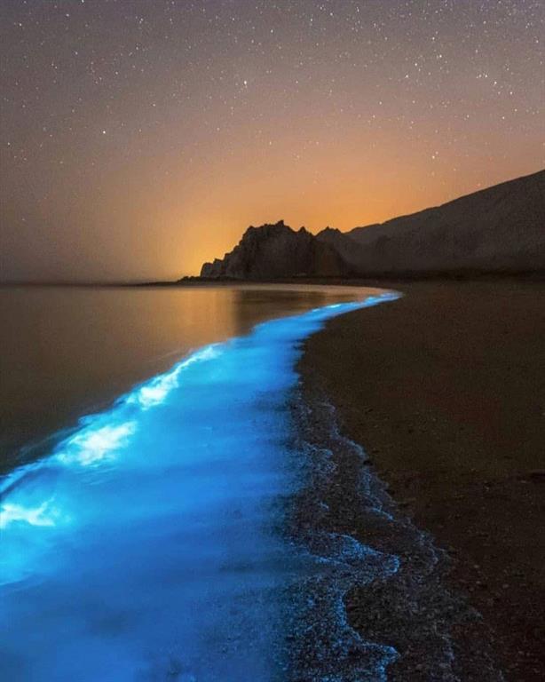 ساحل شب‌تاب؛ چابهار