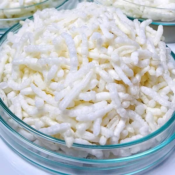 برنجک