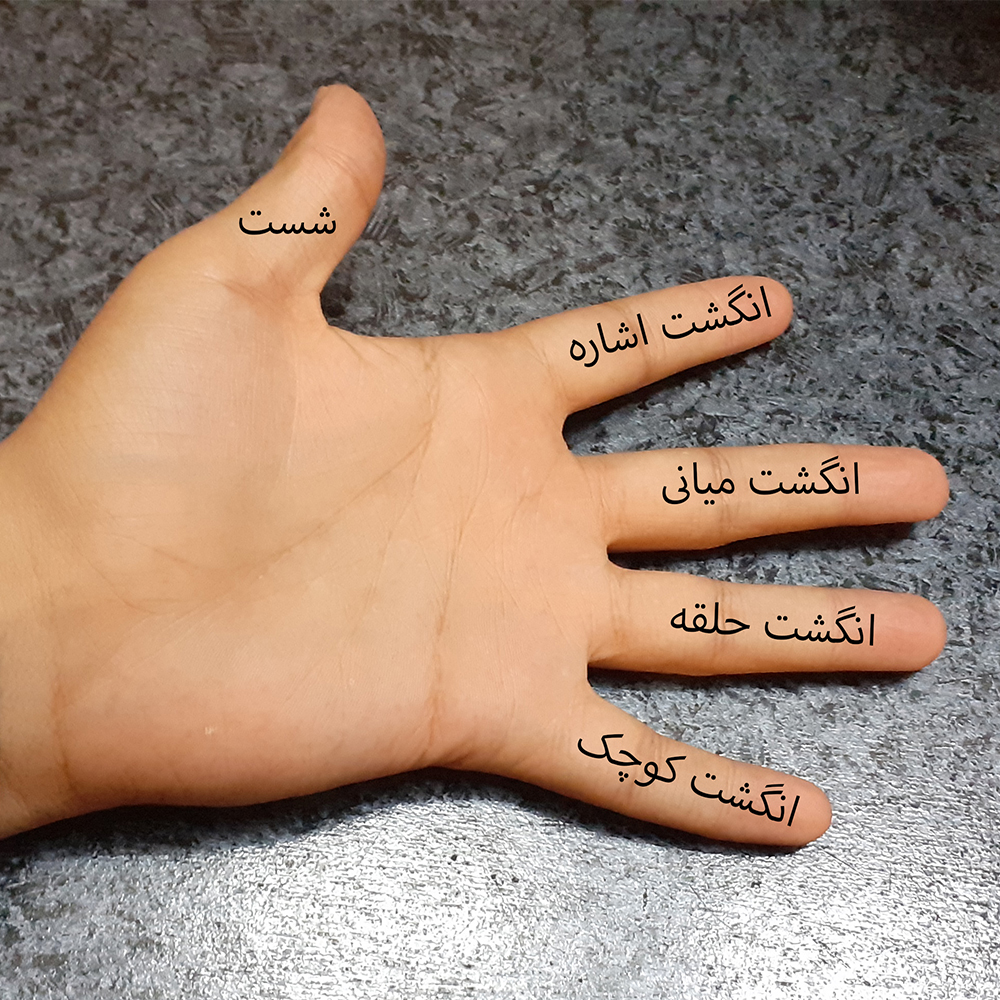 انگشت