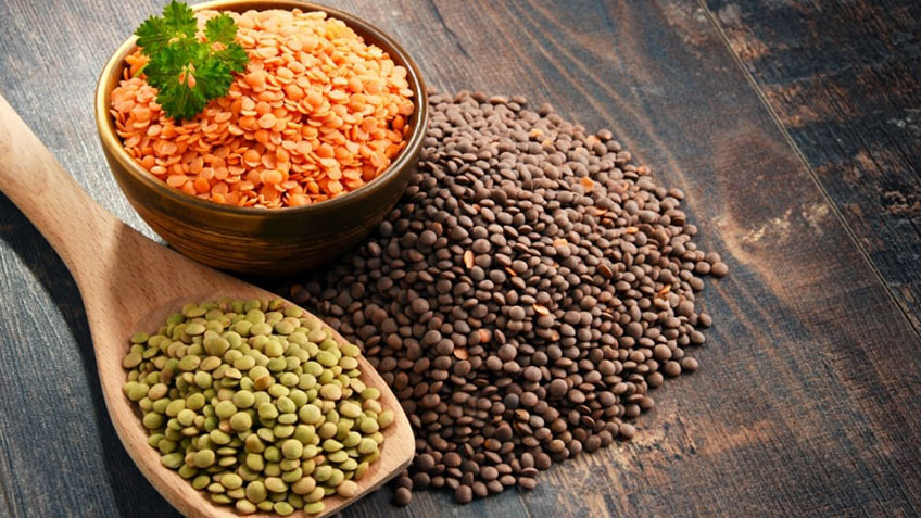 انواع عدس#تغییر_مسیر [[الگو:طبقهبندی جانداران