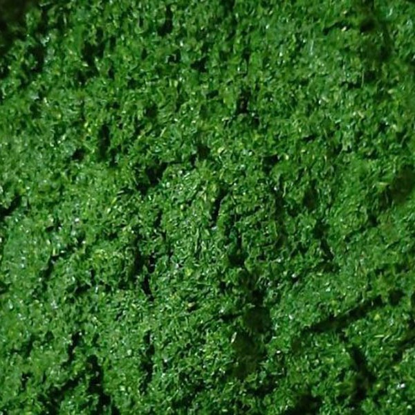 سبزی خورشتی