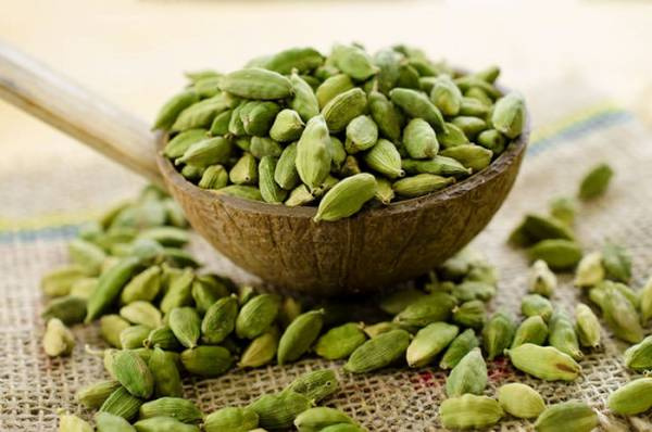 هل سبز با نام علمی (Elettaria cardamomum)#تغییر_مسیر [[الگو:طبقه‌بندی جانداران