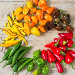 Types-of-hot-peppers-esalat.jpg