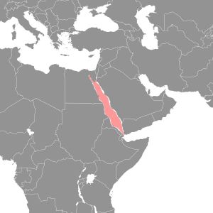 موقعیت دریای سرخ