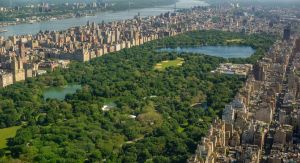 سنترال پارک در شهر نیویورک ایالات متحده آمریکا