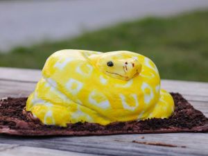 نوعی از مار پیتون به رنگ زرد