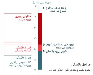 نمودار-مراحل-یائسگی-در-زنان.jpg