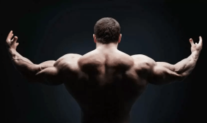 نمایی از عضلات پشتی یک ورزشکار در رشته بدن سازی.png