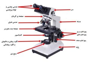 یک میکروسکوپ نوری به همراه معرفی اجزای آن