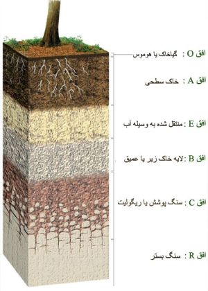 اجزای تشکیل دهنده خاک