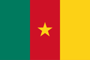 پرچم کامرون.png