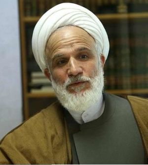 محمود محمدی عراقی