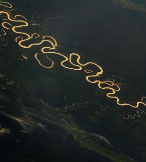 تصویر هوایی رود آمازون