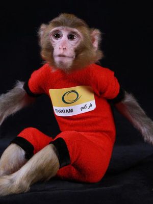 دومین میمون فضانورد ایران فرگام
