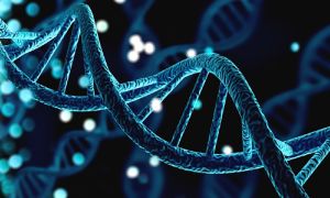 ژنتیک و ساختار DNA
