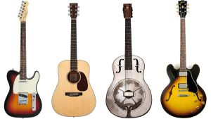 انواع مختلف گیتار - Guitar