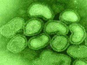 تصویر ویروس آنفلوانزا با بزرگنمایی صد هزار برابر