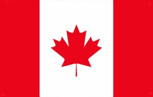 پرچم ملی کانادا از یک مربع سفید رنگ در مرکز و نوارهای قرمز عمودی در سمت چپ و راست تشکیل شده است؛ در پس‌زمینه سفید یک برگ افرا به رنگ قرمز قرار دارد.